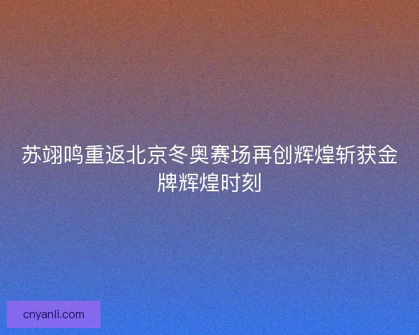 苏翊鸣重返北京冬奥赛场再创辉煌斩获金牌辉煌时刻